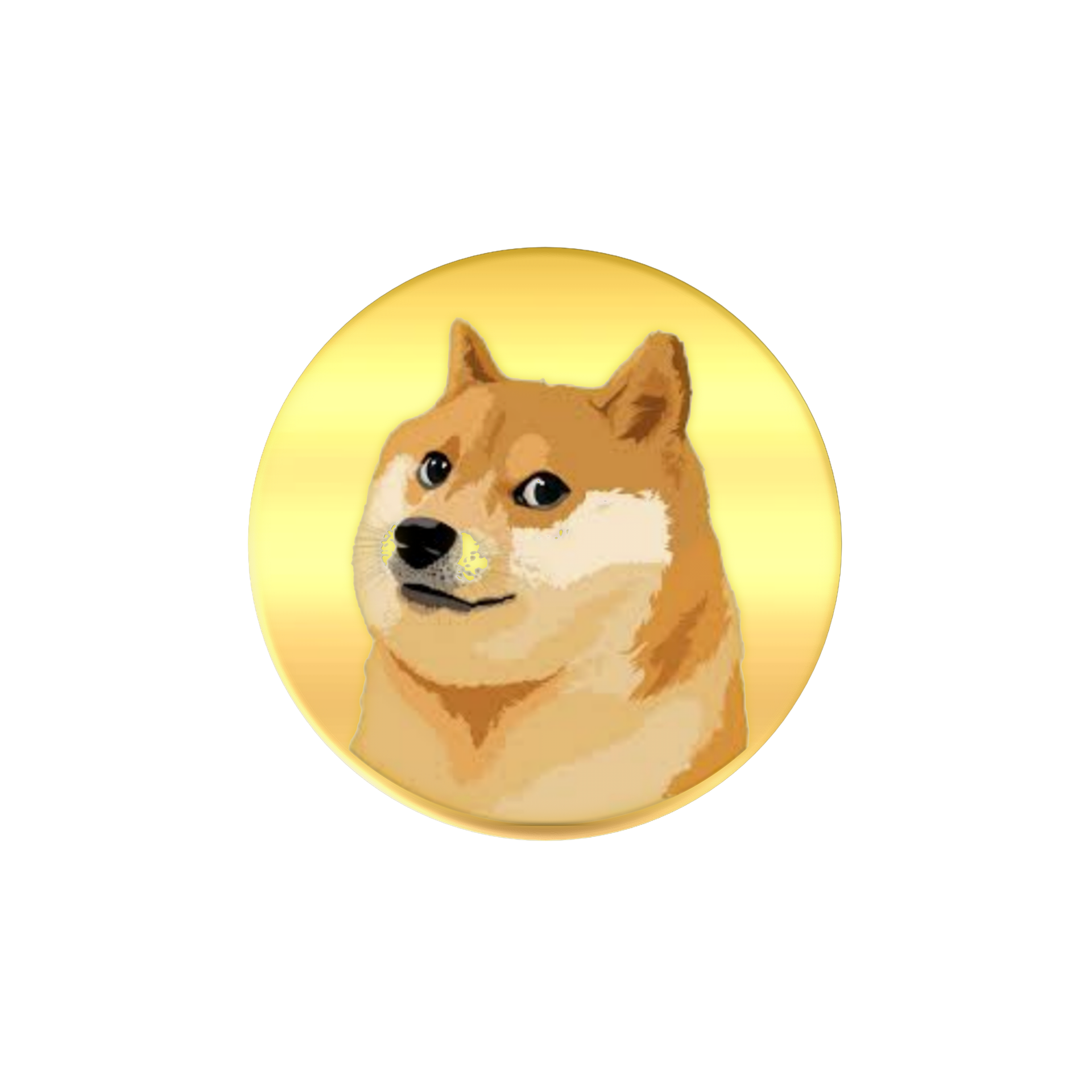The iconic look from the Shiba Inu dog in front of a gold disc. 
